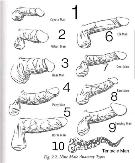 pennis porn|penis videos .